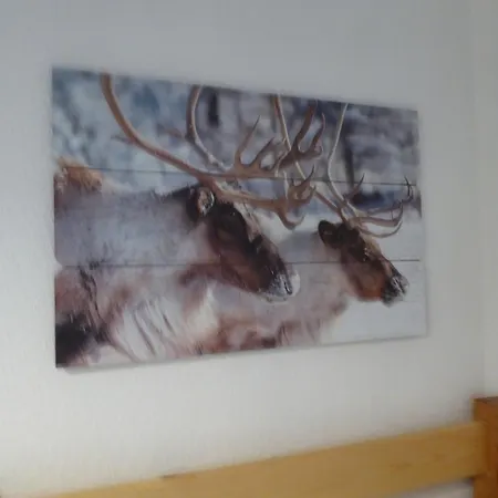 Appartement Résidence Les Airelles 2 Adultes 2 Enfants Parking Casier à Skis Les Angles (Pyrenees-Orientales)