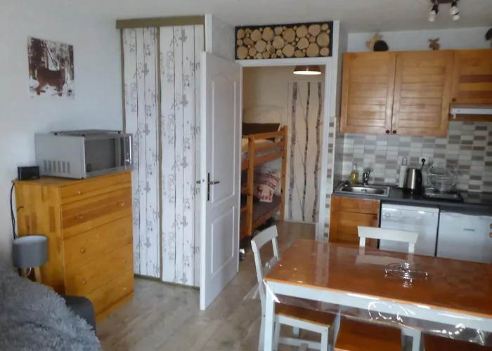 Les Airelles 2 Adultes 2 Enfants Parking Casier A Skis Balcon Vue --location Toutes Saisons-- Apartman Les Angles